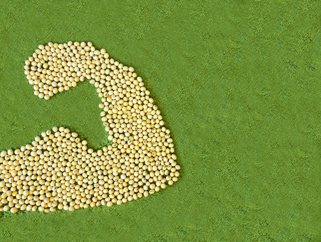 Webinar – Plant Proteins: Overcoming Inherent Hurdles