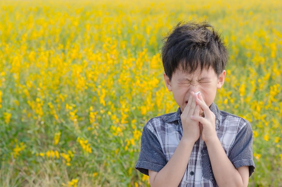 A New Aid for Seasonal Allergies – Probiotics