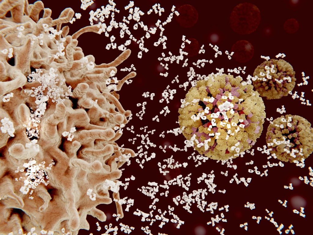 Training the Immune System: Spotlight on Innate Immunity