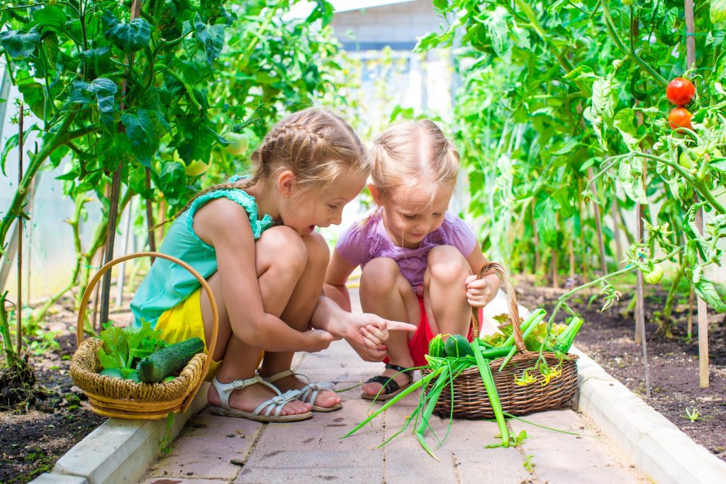 What Nutrients Should Infants and Toddlers Get More Of?