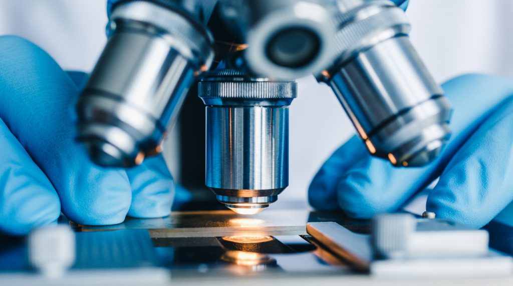 What is Vitamin K2, and What Role Does It Have in Health?