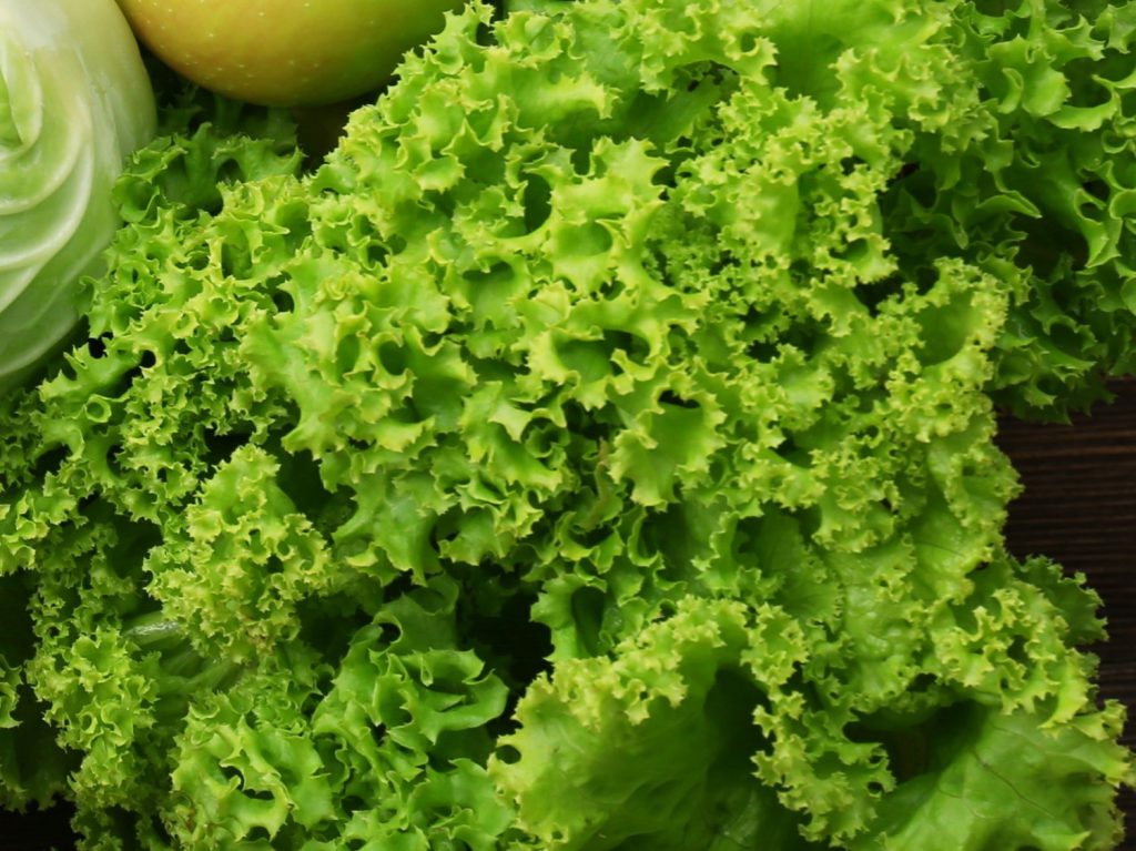 Webinar – Proactive Health: Combining Healthy Halos and Science
