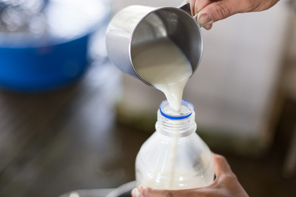 Nutrition Benefits of Grass-Fed Dairy
