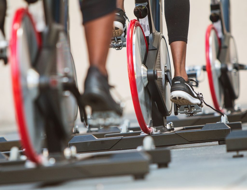 The Gut Microbiota: The Secret to Athletic Success