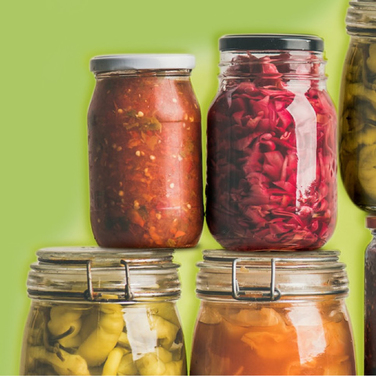 Webinar – Fermented Foods: Stacking Up the Science