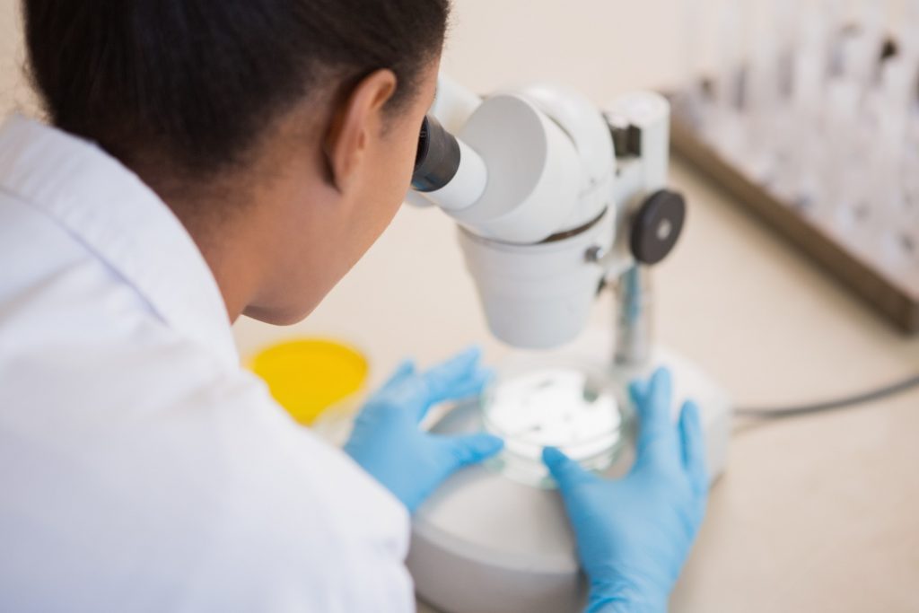 Probiotics – Their Role in Immune Health