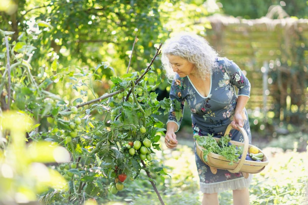 The Impact of Social Isolation on Eating Behaviour and Nutrition