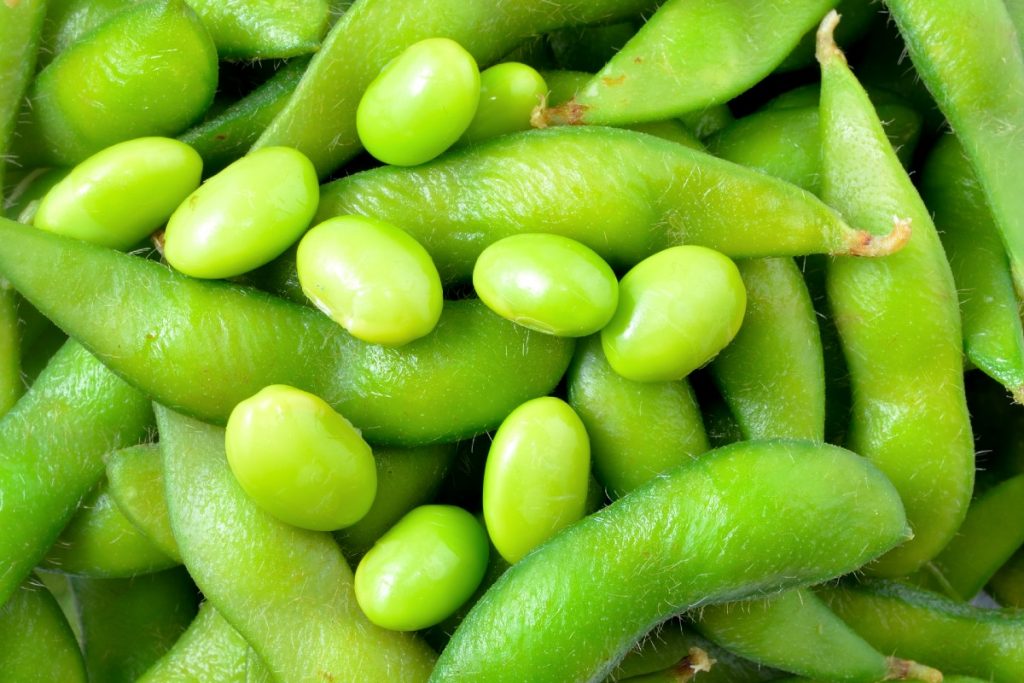 Soy’s Role in Health