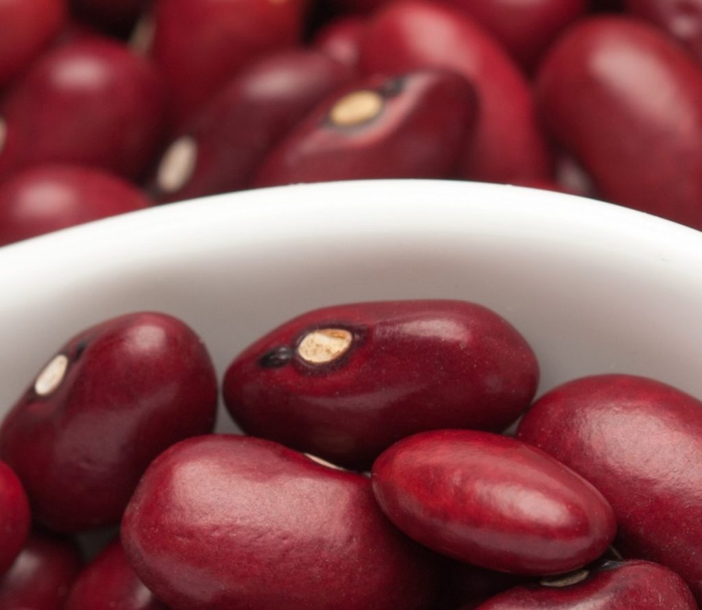 Active Ageing – How Can We Optimise Plant Proteins?