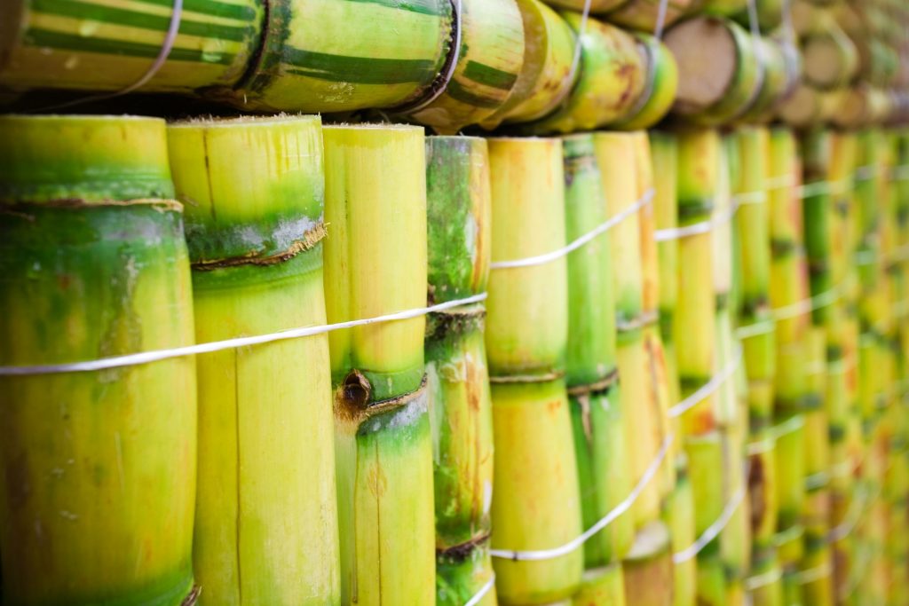The Environmental Impact of Sugar Reduction