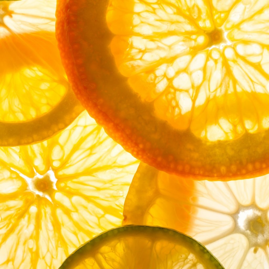 Nutrition and the Brain – Summarizing the Science on Cognition and Memory