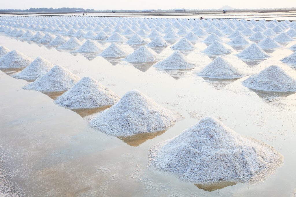 Reducing Salt Intake: What’s Happening Around the World
