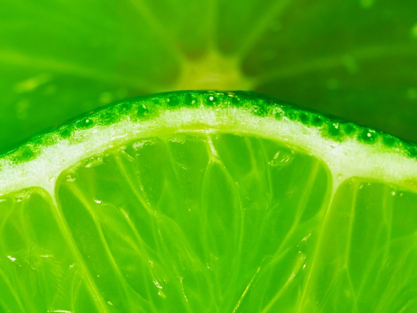 Natural Flavourings, Extracts, and their Use in Organic Products