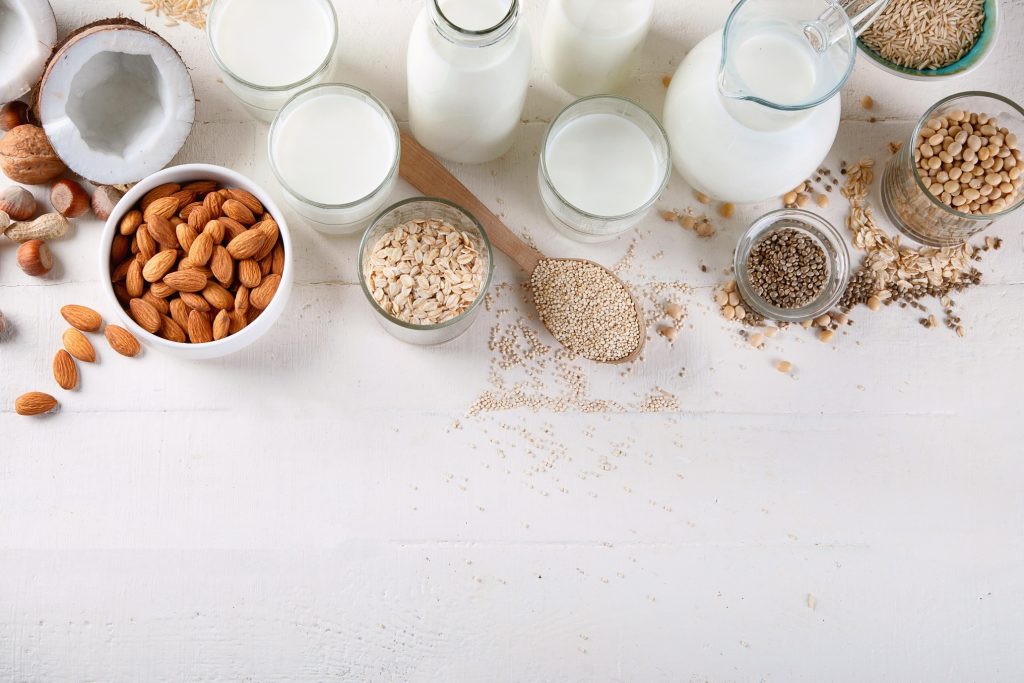 Formulating with Plant Proteins vs Dairy Proteins: Challenges and Current Solutions to Fill the Gap