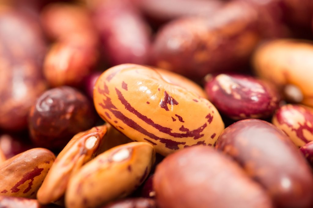 The Role of Protein Quality in Product Development