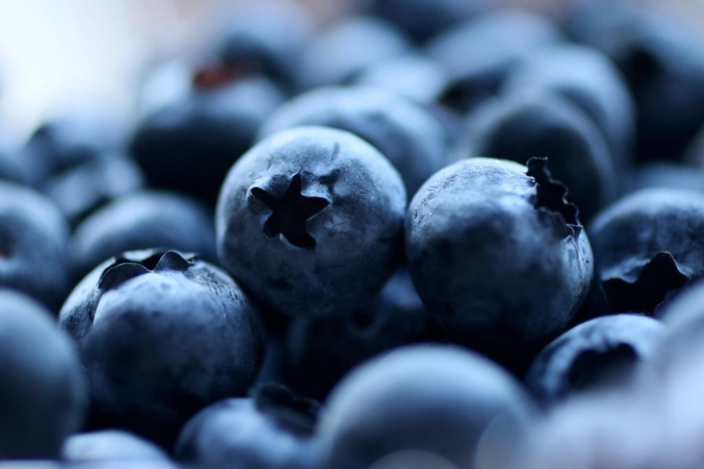 How does processing impact nutrition of fruit? Reducing food waste of berries
