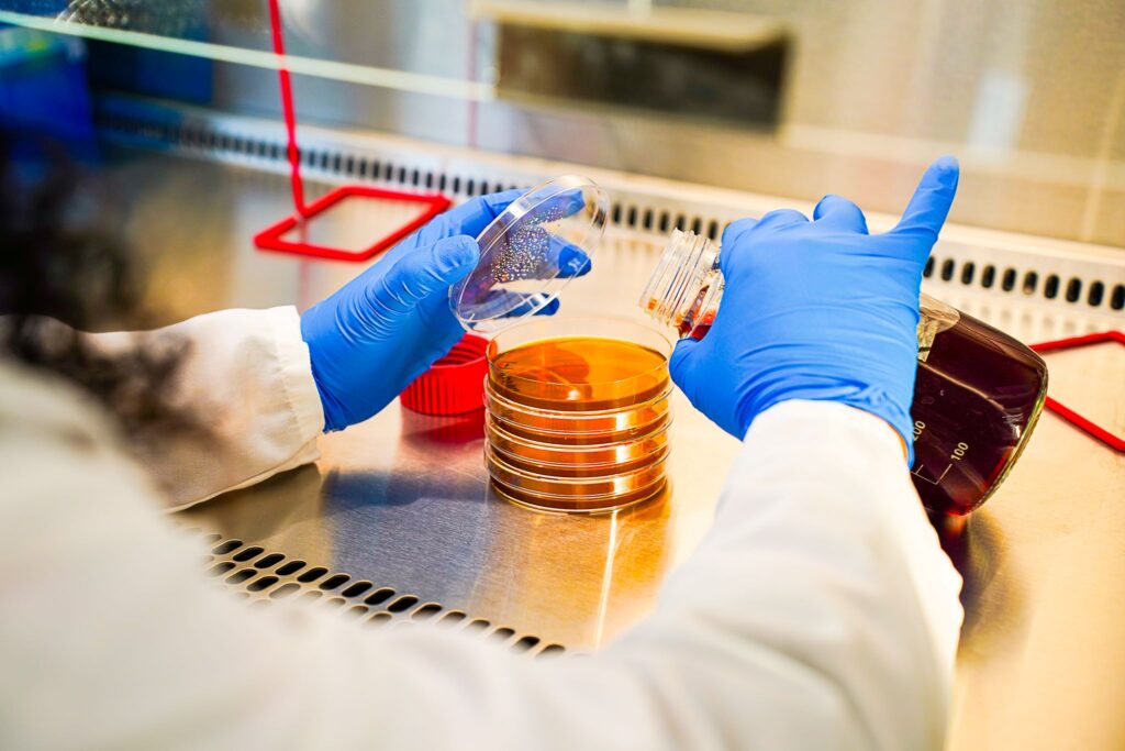 HPP Replacement: A Sustainable Way for Pathogen Control in the Meat Industry