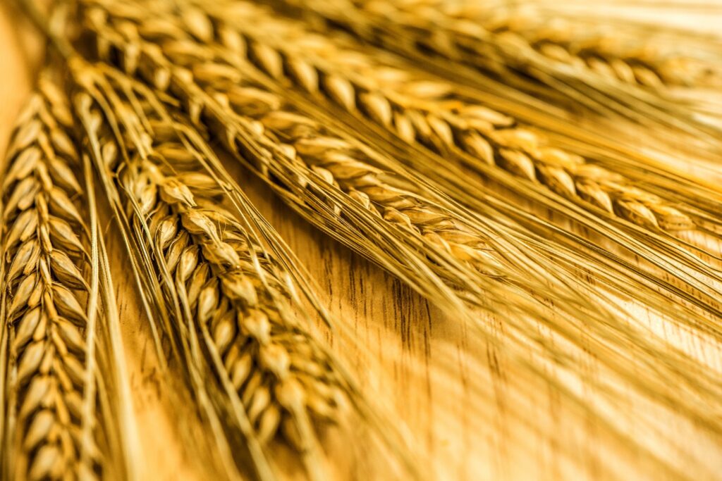 The Potential for Reducing Food Waste through Shelf-Life Extension: Actionable Insights from Data Digitization