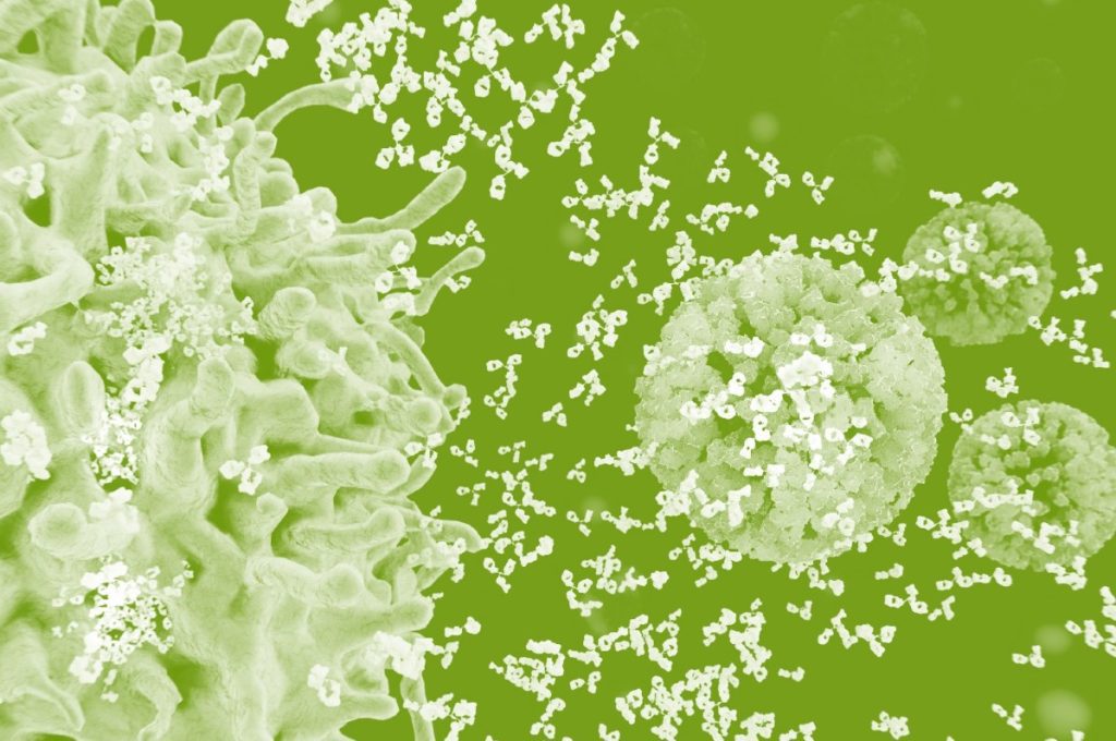 Vitamin A’s Role in immune Health