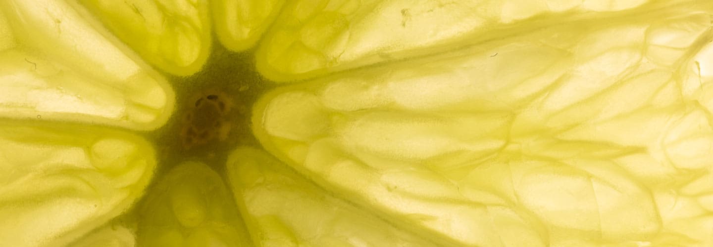 Taste & Flavour Science
